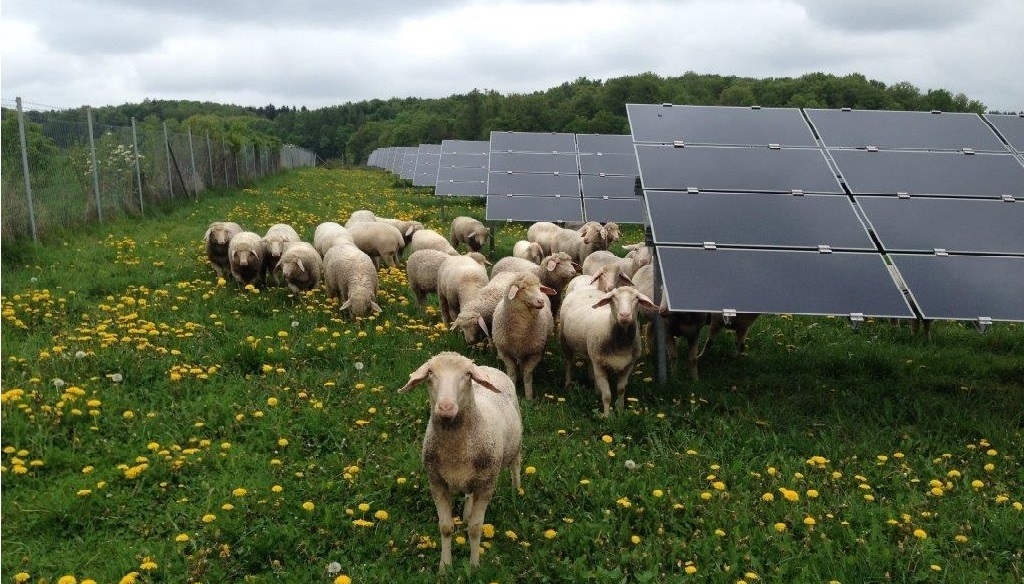 01.06.2020 - SolarKapital lässt Module beschichten